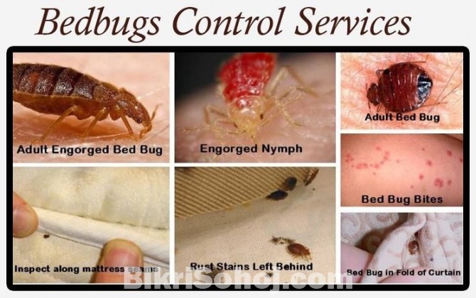 Pest Control & Cleaning services
